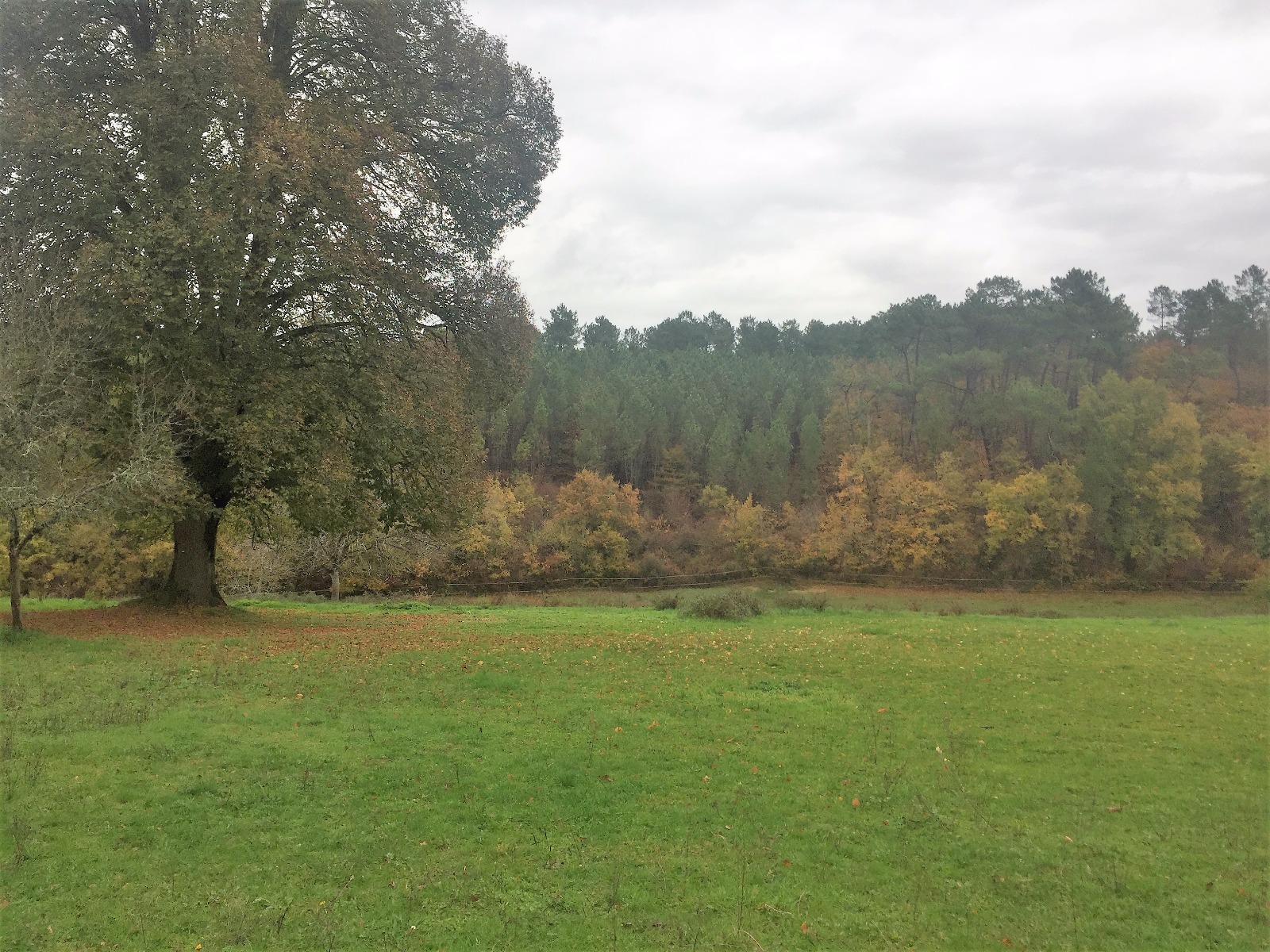 vente-150-m-sur-terrain-de-plus-d-un-hectare